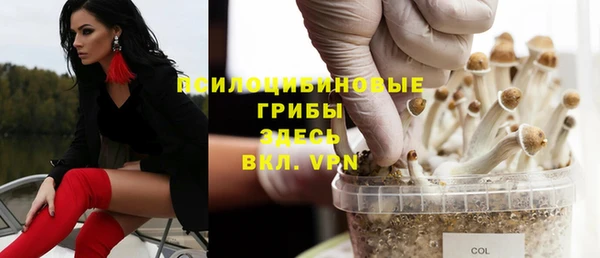 MESCALINE Алзамай