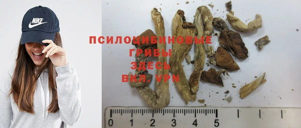 кокс Абдулино