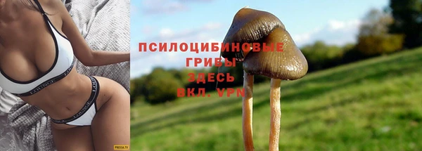 мескалин Абаза