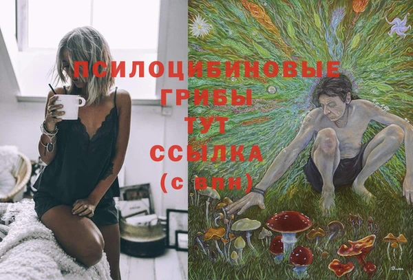 кокс Абдулино